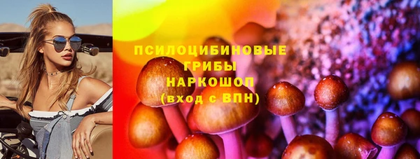 мдпв Касимов
